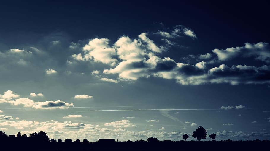 Silhouette of Trees Under Cloudy Sky, backlit, clouds, cloudscape HD wallpaper