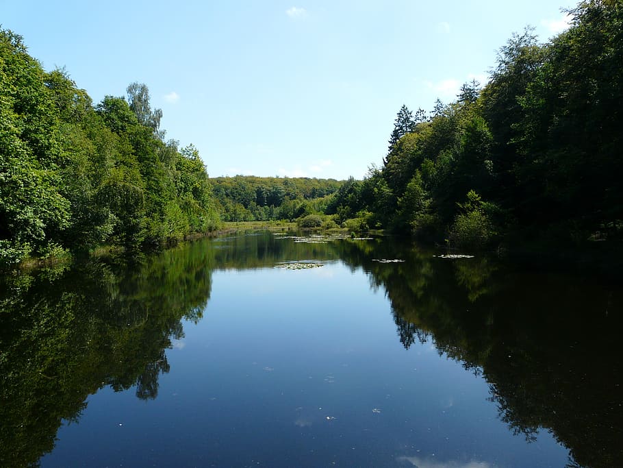 pond, water, forest, trees, vosges, landscape, nature, reflection HD wallpaper