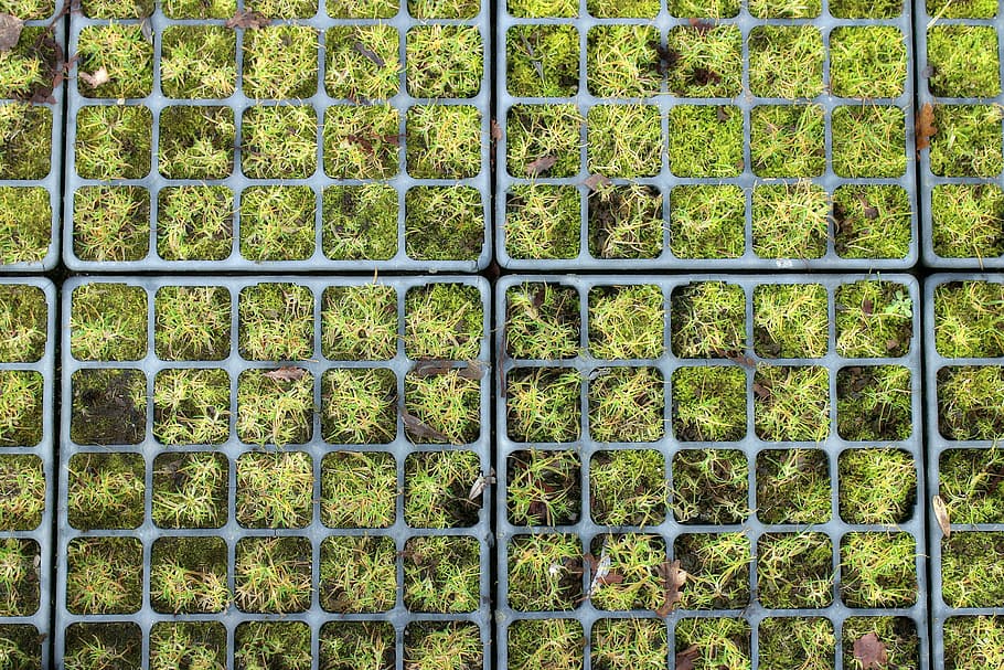Module, Share, Items, Wash, Mosaic, photo mosaic, puzzle, lawn grid HD wallpaper