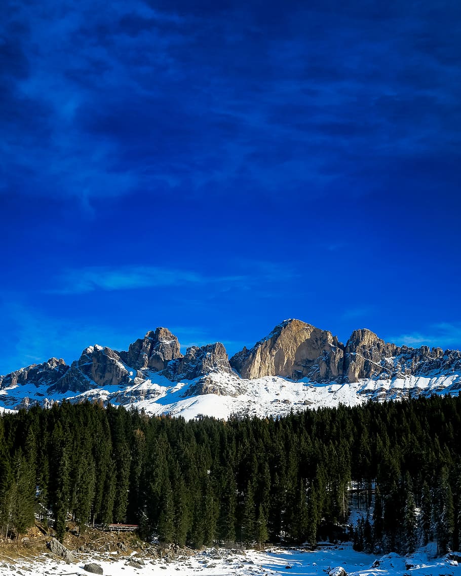 pine trees surrounded by snow, snow covering mountain near pine trees HD wallpaper