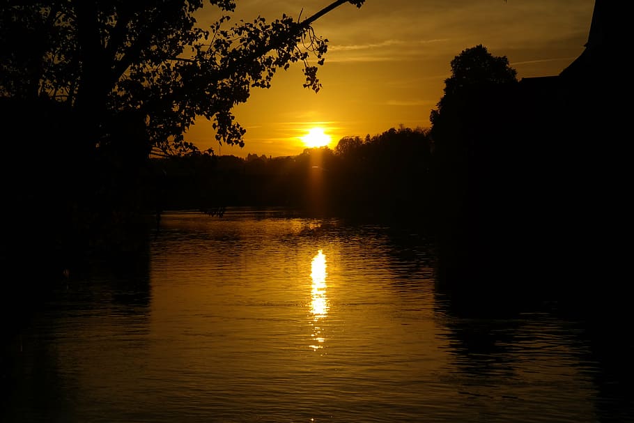 sunset, river, danube, water, tree, branch, evening, back light HD wallpaper
