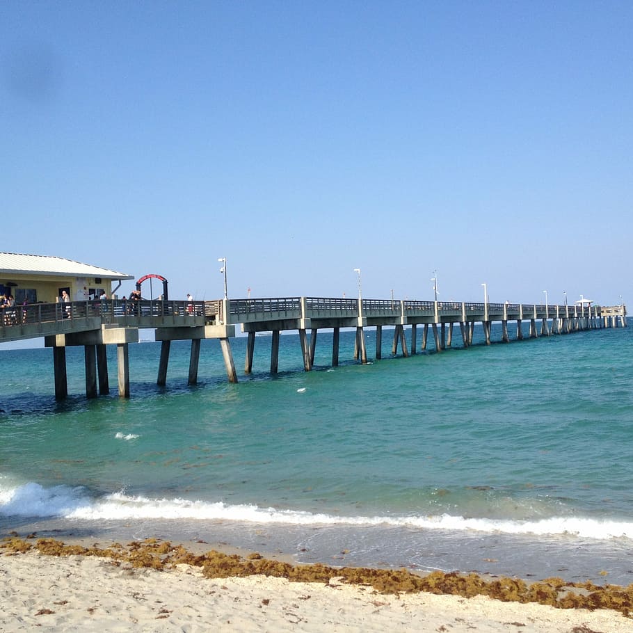 Ocean, Pier, Vacation, Blue, Sky, Beach, seaweed, clear sky HD wallpaper