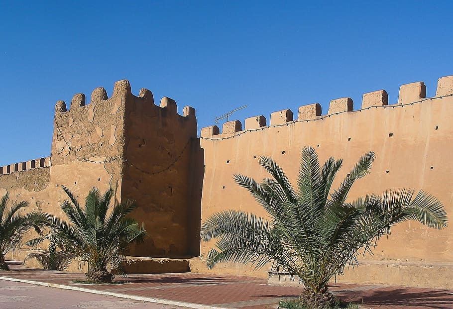 Morocco, Taroudant, Ramparts, Wall, palm trees, castle, fort, HD wallpaper