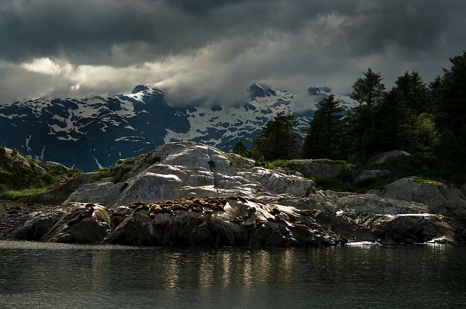 river beside mountain covered in snow, landscape, scenic, clouds HD wallpaper