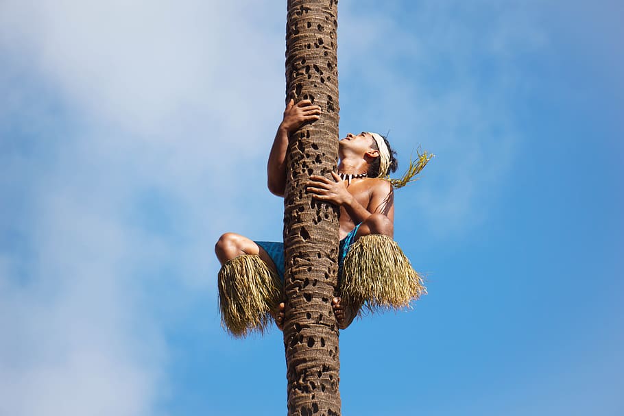 man climbing tree under blue cloudy sky during daytime photo HD wallpaper