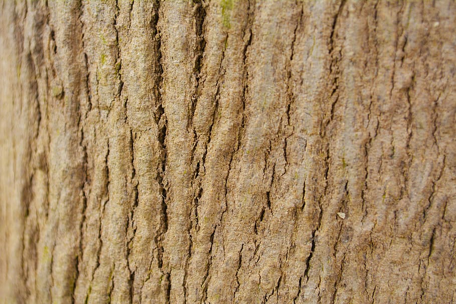 pattern, design, texture, backdrop, wall, style, template, decorative HD wallpaper