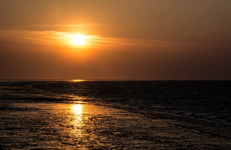 sunset, ocean, beach, coast, coastline, twilight, sea, water HD wallpaper