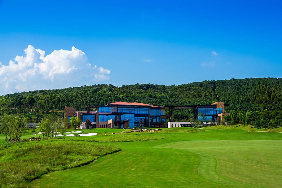 Golf, Blue Sky, White Cloud, green, green color, field, grass HD wallpaper