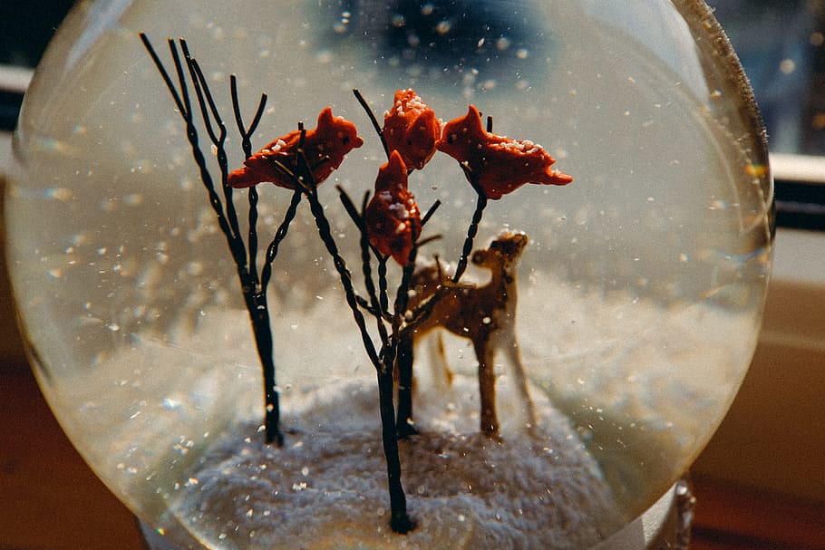 Snow ball, objects, other, red, nature, close-up, glass - Material HD wallpaper