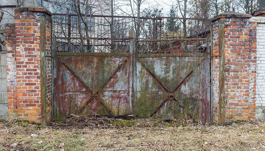 gate, old, passage, plant, tail carried curled, rusty, mess HD wallpaper