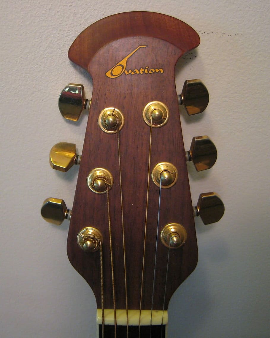Guitar, Instrument, Stringed, Pegs, tuning, close-up, musical HD wallpaper