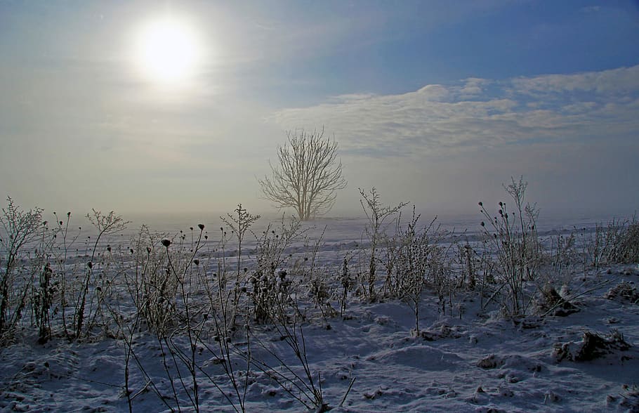 landscape photo of a snowy field, nature, sky, outdoors, water HD wallpaper