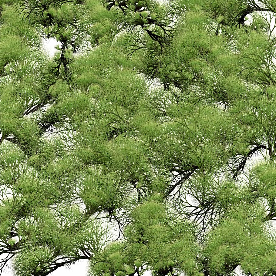Background, Abstract, Texture, Textured, tree, twigs, branch HD wallpaper
