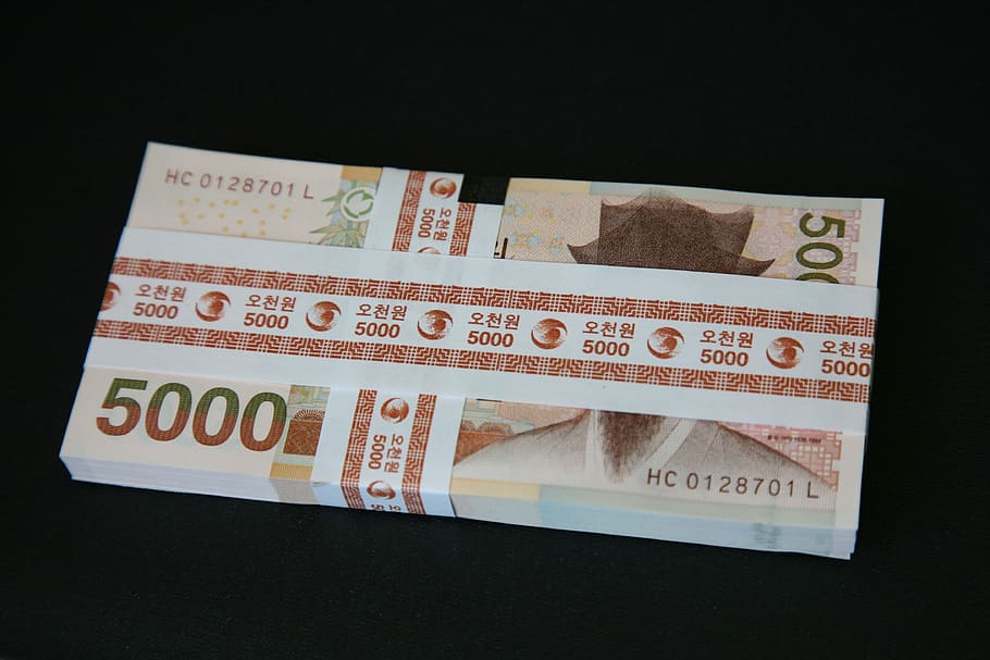 money, bills, don, 5000 usd, five thousand usd, korea money, HD wallpaper