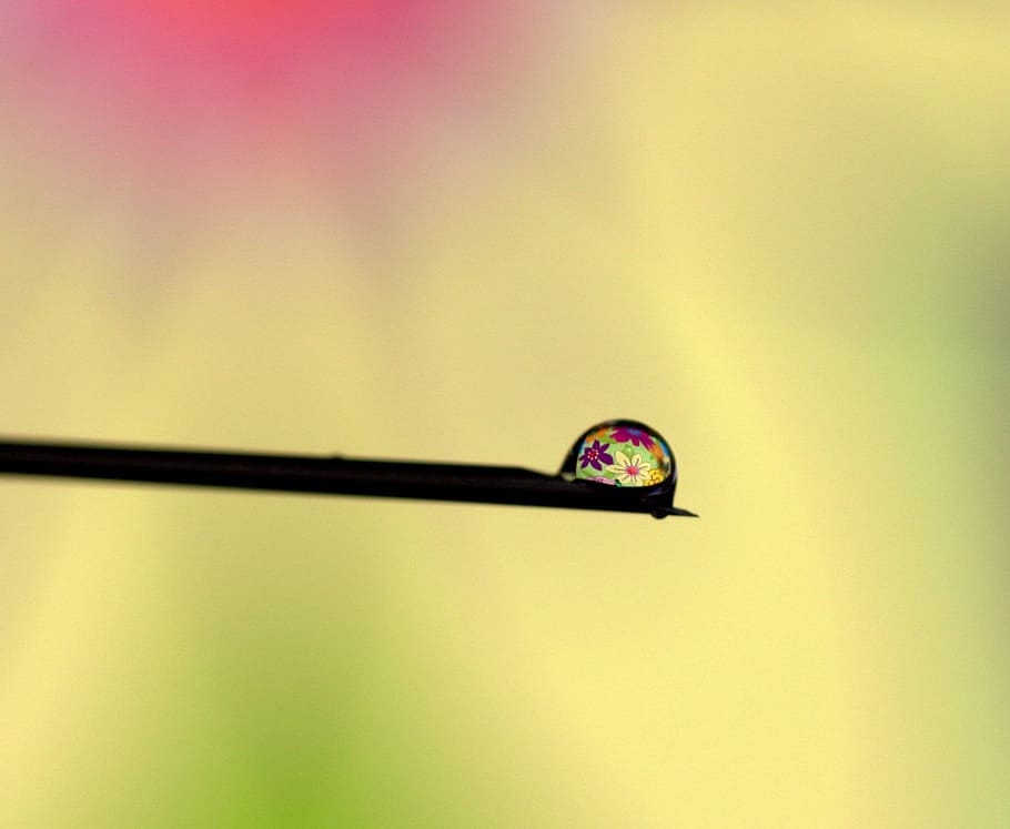 drop, water, reflection, coloring, macro, studio shot, colored background HD wallpaper
