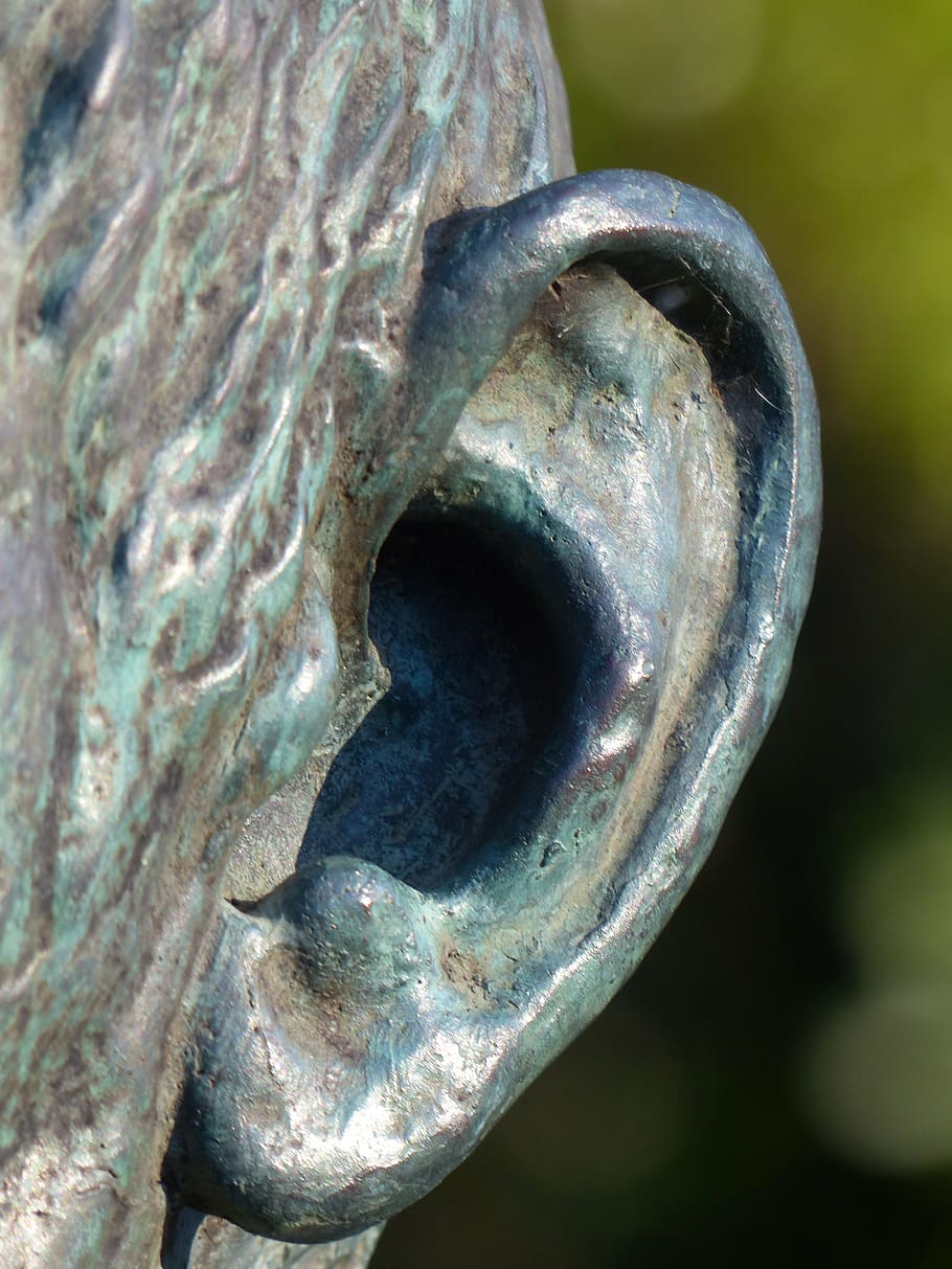 ear, statue, figure, bronze, bronze statue, old, close-up, metal HD wallpaper
