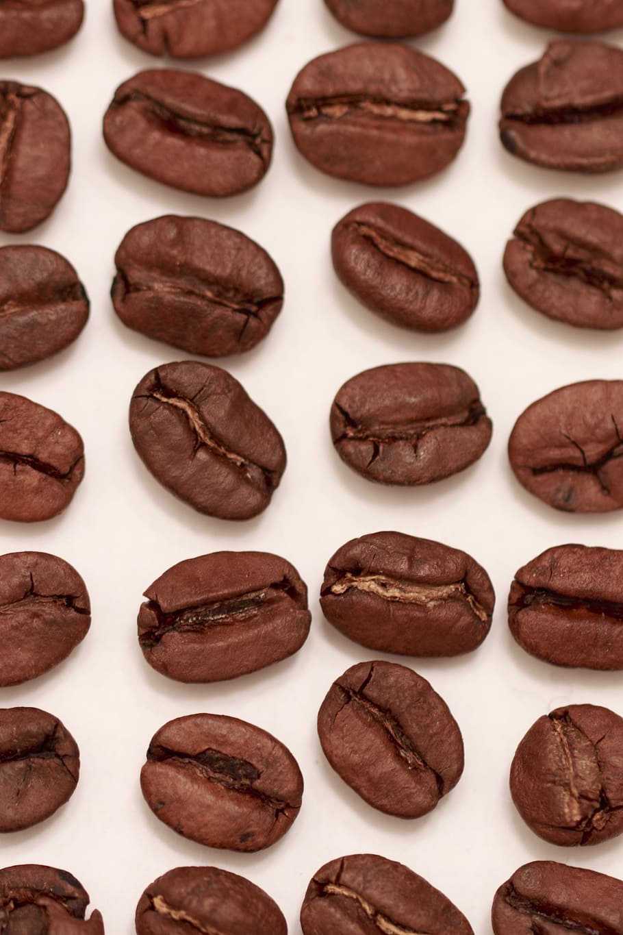 coffee, bean, coffee bean, beans, stimulant, food and drink HD wallpaper