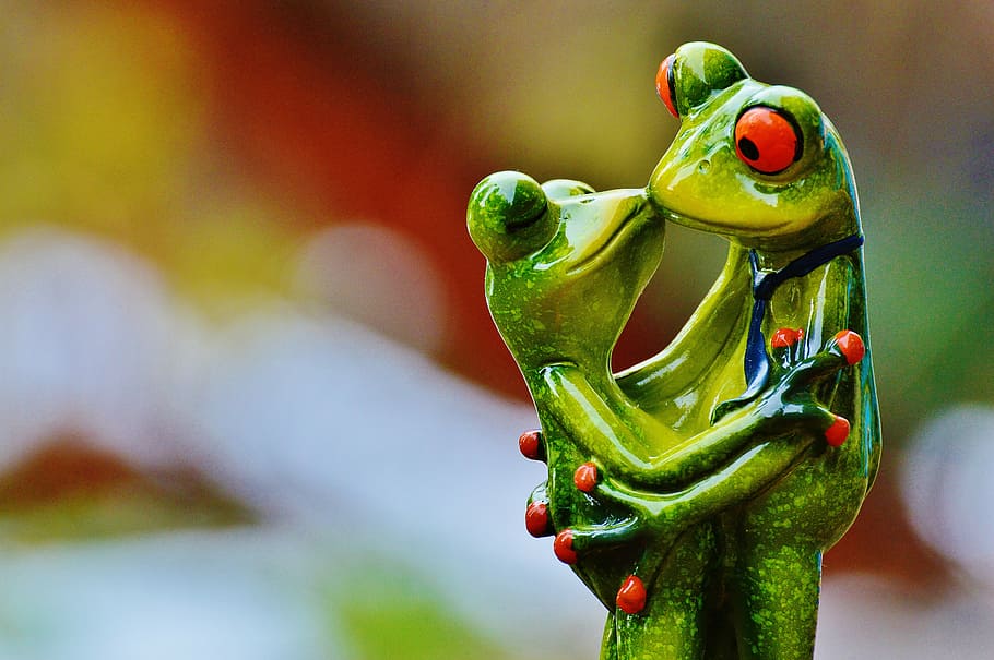 two green frogs kissing each other, valentine's day, love, pair, HD wallpaper