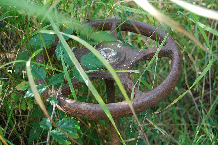 steering wheel, rusty, scrap, green, old, abandoned, nature HD wallpaper