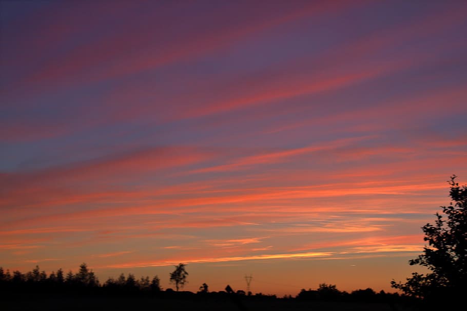 Sunset, Evening, Clouds, Twilight, sky, silhouette, tree, scenics HD wallpaper