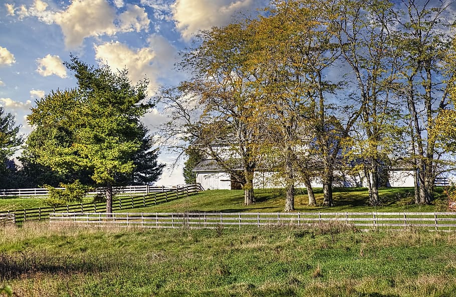 barn, rustic, barns, ohio, digital art, rural, scenic, country HD wallpaper