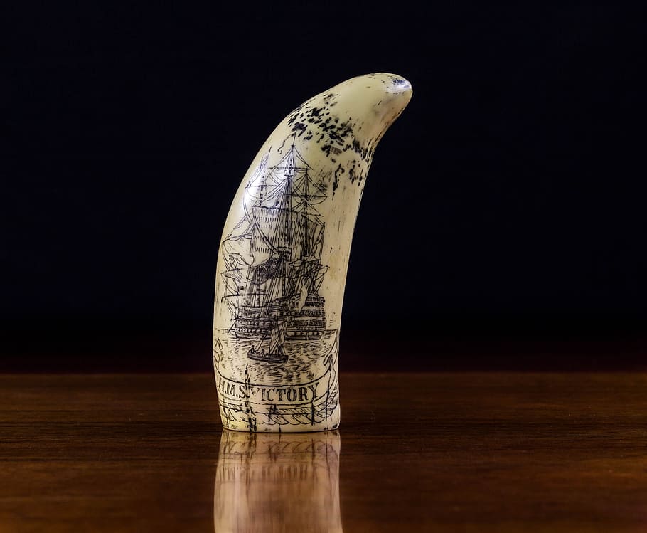 Scrimshaw, Ivory, Engraving, Carving, whale bone, sperm whale tooth