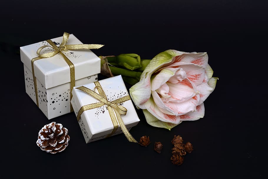 white, pink, and gold-colored gift boxes and flower, christmas gift, HD wallpaper