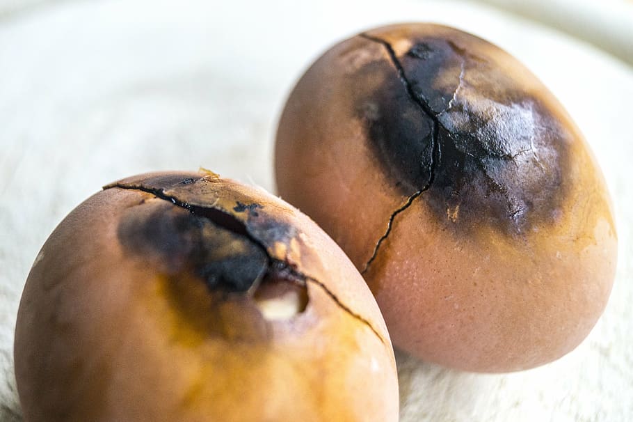 egg, burnt, clumsy, forgetful, eat, error, eggshell, yolk, expired HD wallpaper