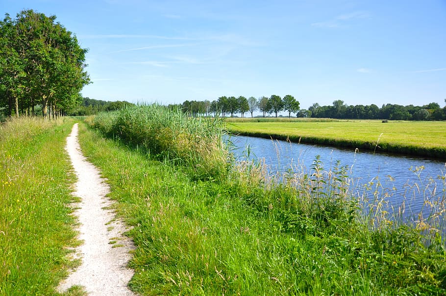 water, path, track, dirt track, waterway, canal, field, grass HD wallpaper