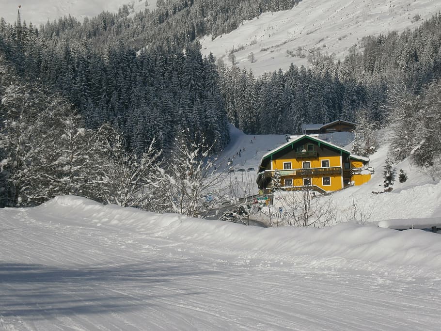 mountain, snow, austria, chalet, winter, cold temperature, tree HD wallpaper