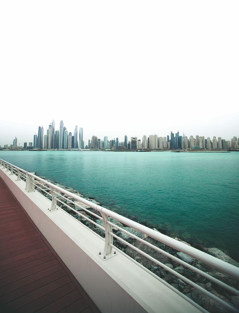 white bridge near water, bridge overlooking cityscape, skyline HD wallpaper