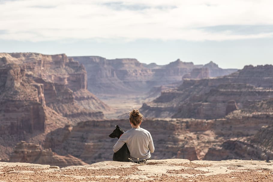 person with dog sitting on Grand Canyon cliff, untitled, grey