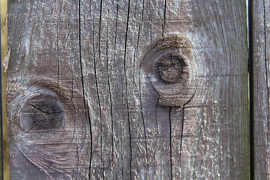 board, rub, wooden, old, texture, tree, nature, the background HD wallpaper