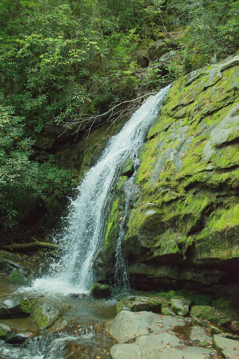 Waterfall, Nature, Environment, natural, outdoor, scenic, scenery HD wallpaper