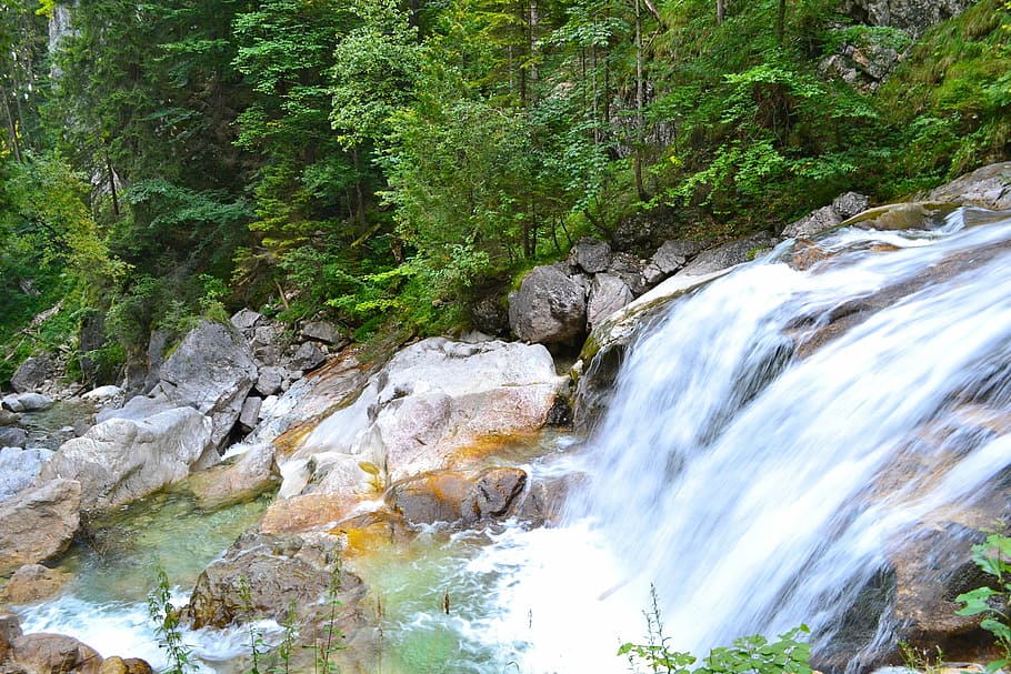 waterfall surrounded with tall trees, river, bubble, nature HD wallpaper