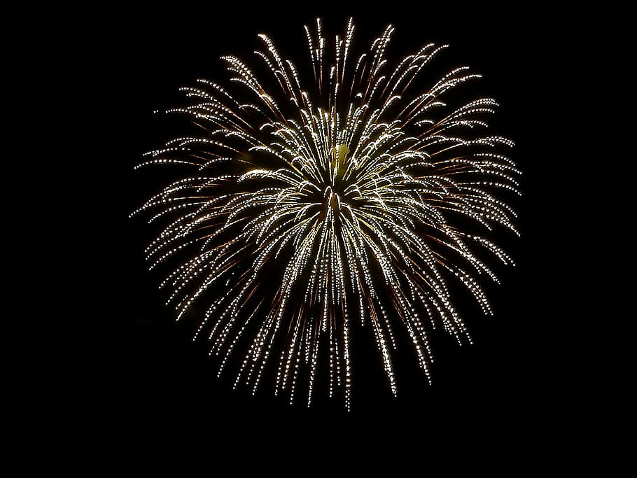 fireworks, Fireworks, Night, Night, Light, celebration, exploding HD wallpaper