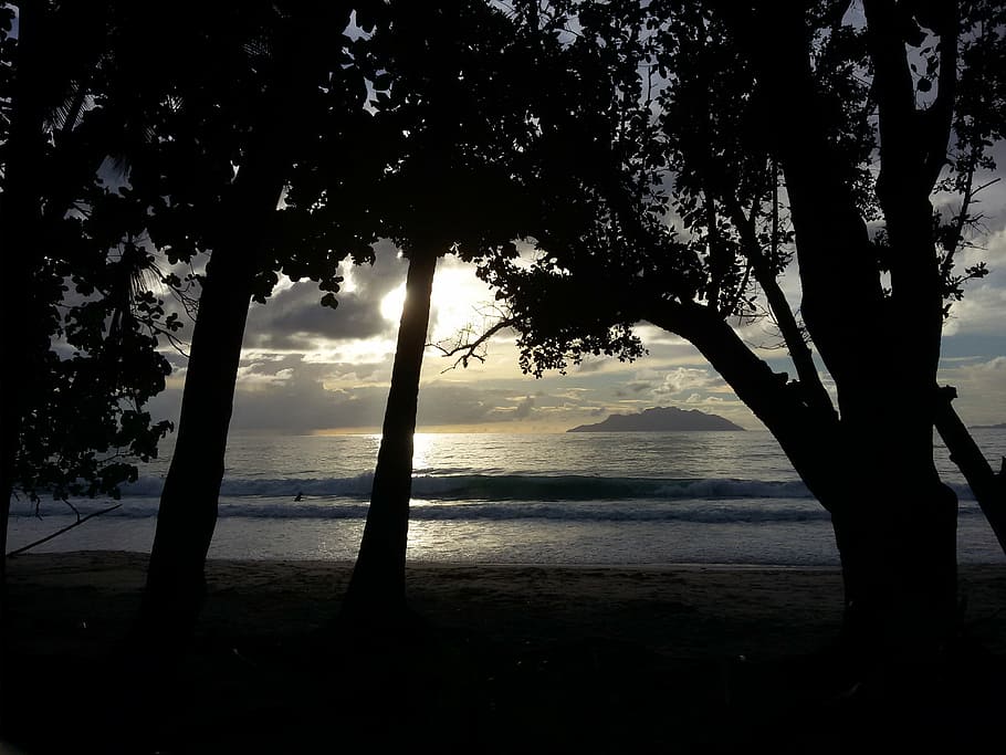 beach, sunset, paradise, sand, travel, tropical, tree, plant HD wallpaper