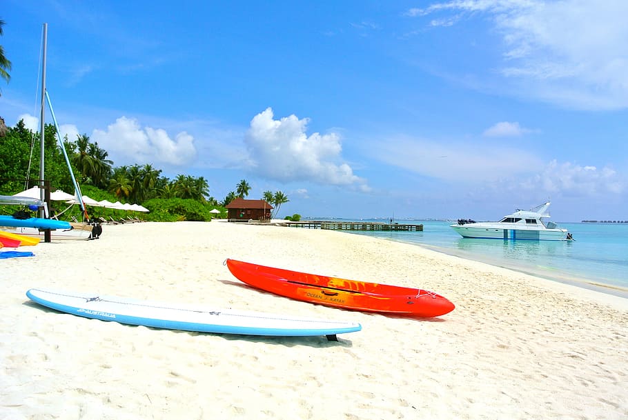 red and blue surfboards beside body of water, maldives, coconut tree, HD wallpaper