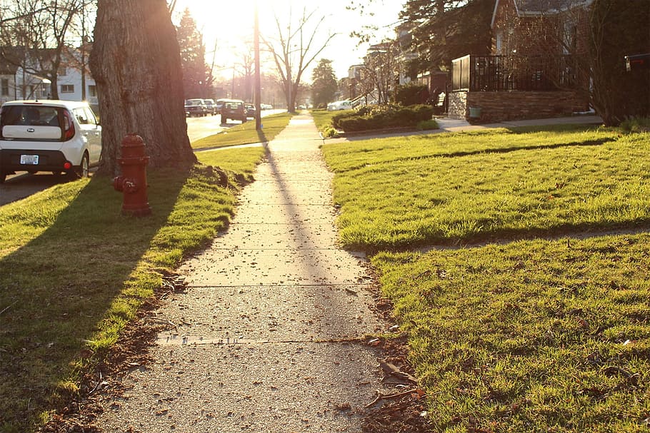 Pathway, Walkway, Sidewalk, Landscape, nature, tree, outdoor HD wallpaper