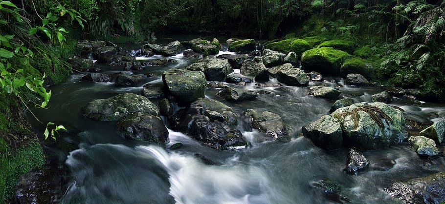 running water in the middle of green trees, stream, moss, long exposure HD wallpaper