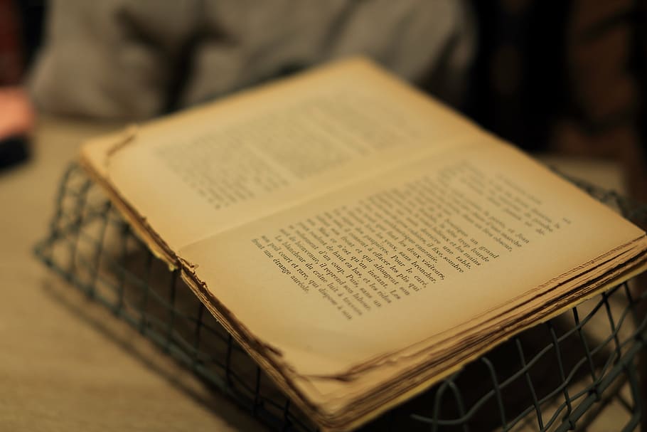 selective focus photography of opened book, old, pages, sheets HD wallpaper