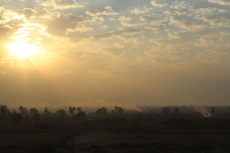 sunset, trees, sky, nature, orange, dawn, dusk, prairie, iraq, HD wallpaper
