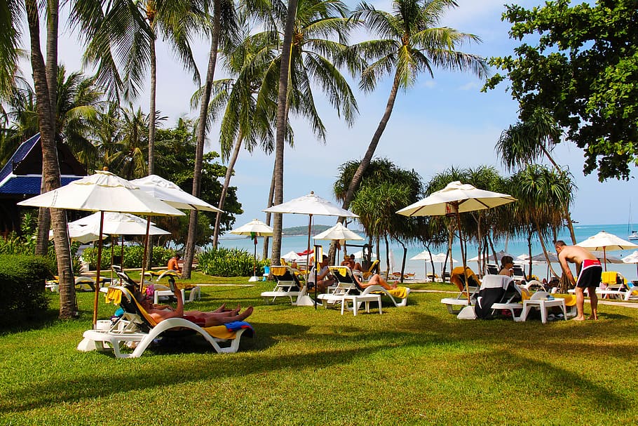 people gathering on beach lying near beach shore, sea, spa HD wallpaper