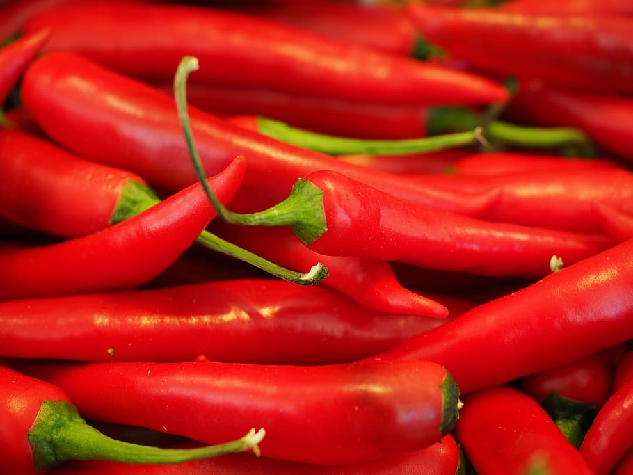 red chilli, chili, sharp, spice, chili peppers, pepperoni, pods HD wallpaper