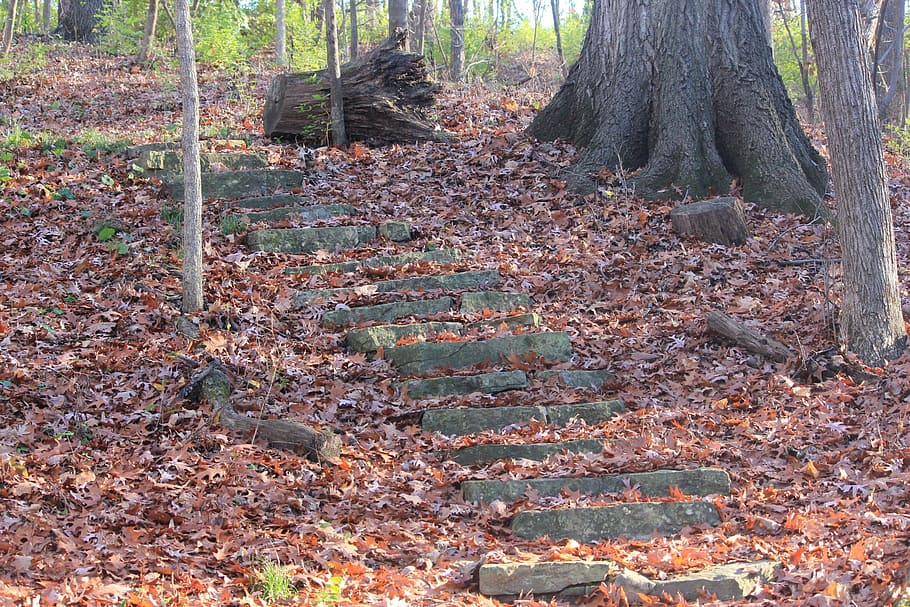 path, hiking, bellevue state park, stone, steps, leaves, littered HD wallpaper