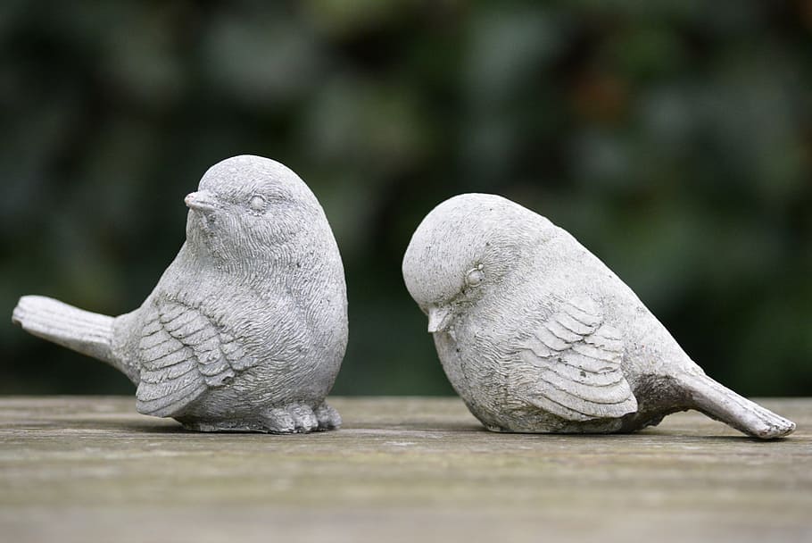 selective focus photography of two grey concrete bird figurines, HD wallpaper