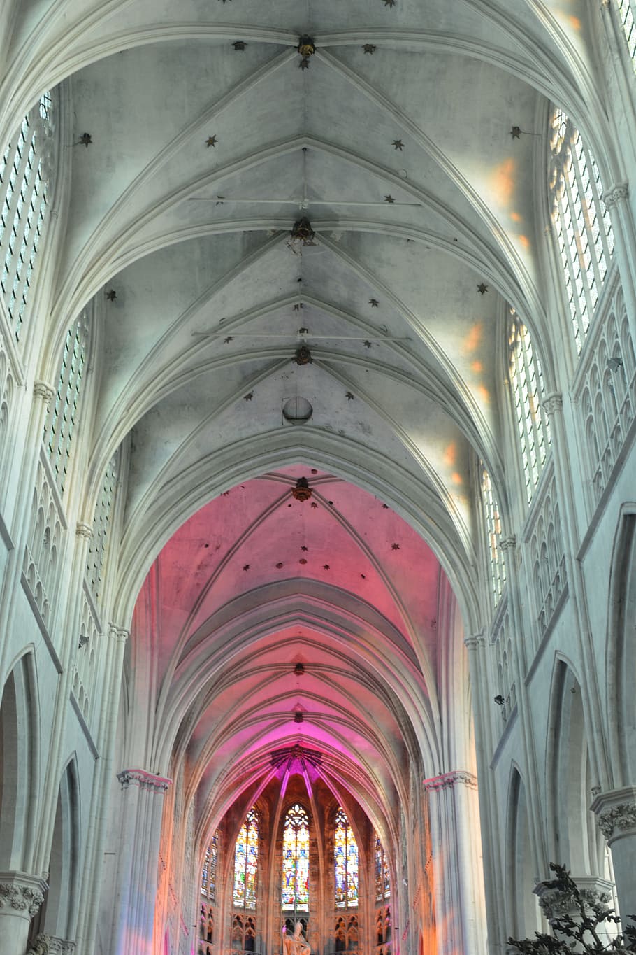 Church, Building, Vaults, Architecture, st rombouts cathedral HD wallpaper