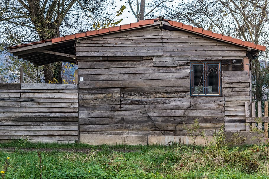 chalet-wood-nature.jpg