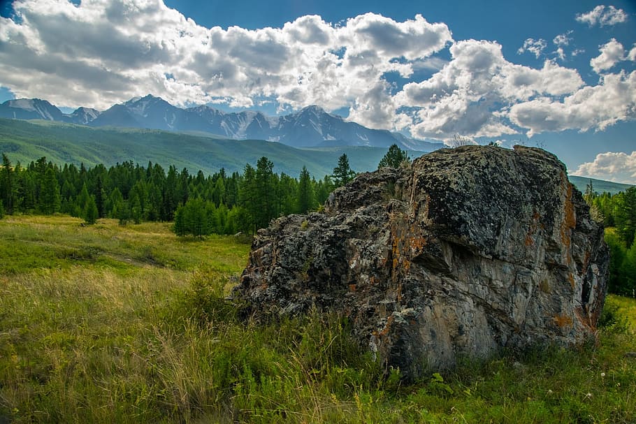 Altai, Mountains, Landscape, no people, nature, grass, day HD wallpaper