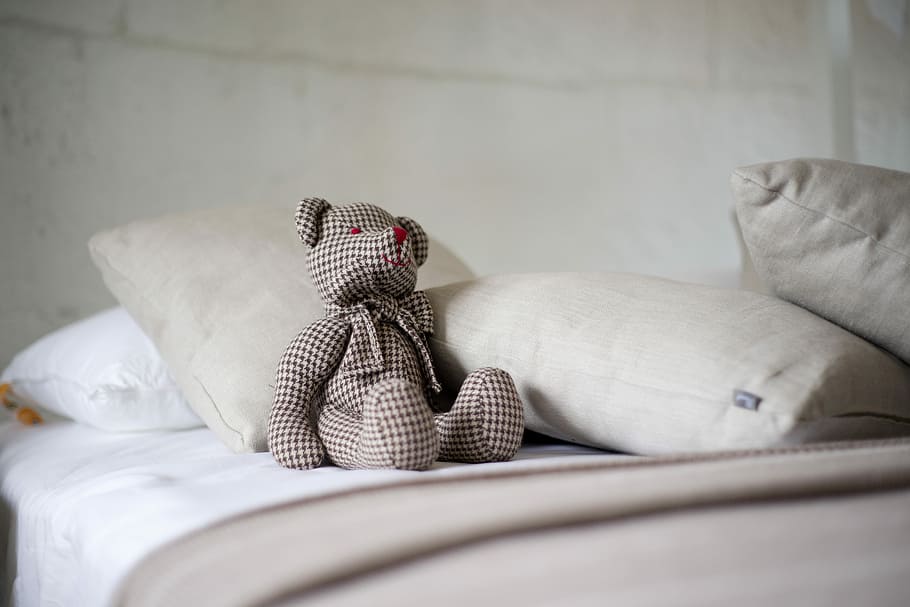 bear plush toy beside pillows on bed, Cute, Design, Modern HD wallpaper
